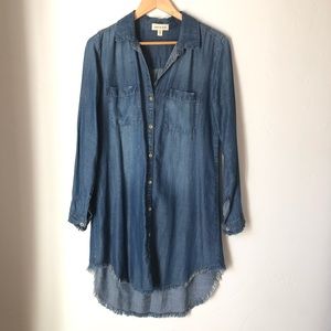 Anthropologie denim button front dress